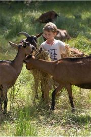 Name: Gabriel hrani koze sijenom.jpg
Size: 130 Kb